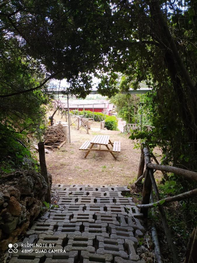 B&B Tenuta San Felice 坎帕尼亚 外观 照片